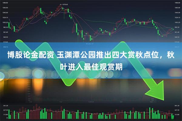 博股论金配资 玉渊潭公园推出四大赏秋点位，秋叶进入最佳观赏期