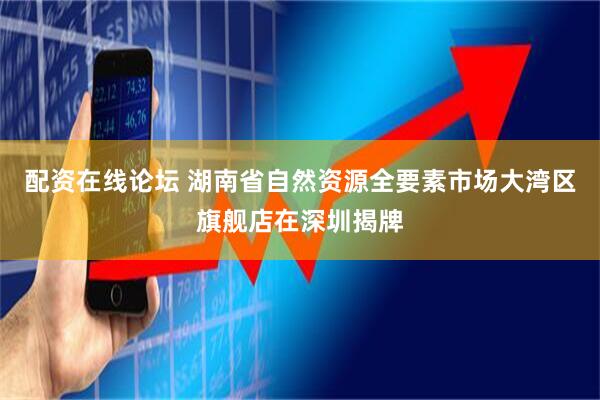 配资在线论坛 湖南省自然资源全要素市场大湾区旗舰店在深圳揭牌